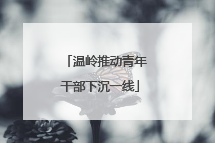 温岭推动青年干部下沉一线