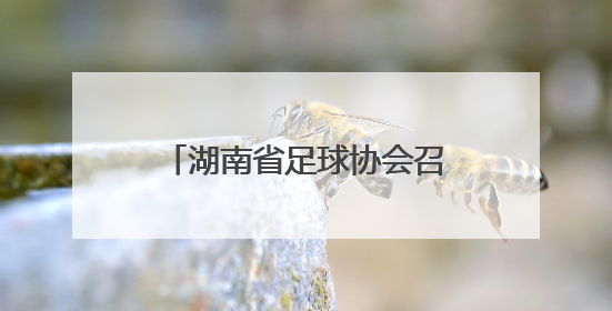 湖南省足球协会召开第六届会员代表大会暨换届大会