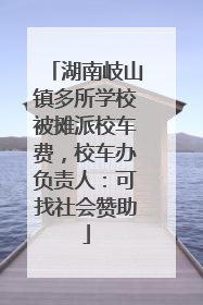 湖南岐山镇多所学校被摊派校车费，校车办负责人：可找社会赞助