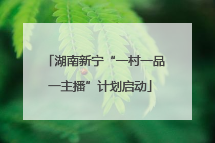 湖南新宁“一村一品一主播”计划启动