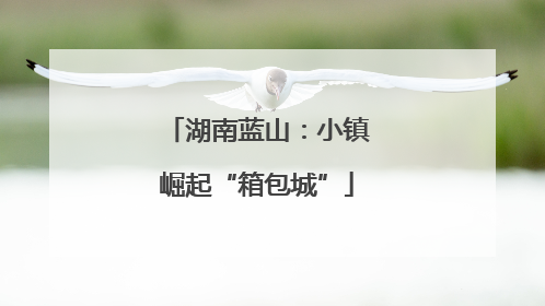 湖南蓝山：小镇崛起“箱包城”