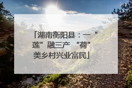 湖南衡阳县：一“莲”融三产 “荷”美乡村兴业富民