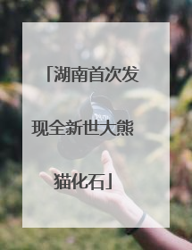 湖南首次发现全新世大熊猫化石