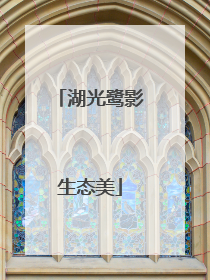湖光鹭影生态美