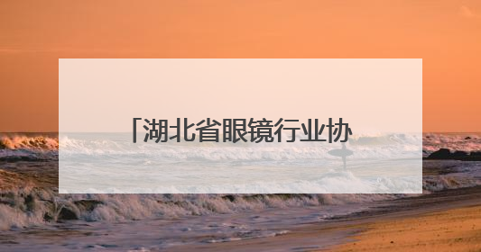 湖北省眼镜行业协会举办第30个全国“爱眼日”活动