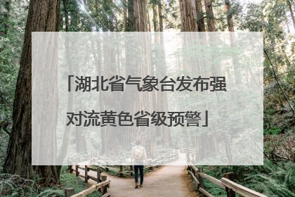 湖北省气象台发布强对流黄色省级预警