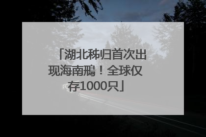 湖北秭归首次出现海南鳽！全球仅存1000只