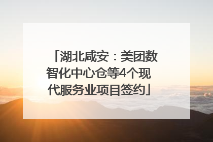 湖北咸安：美团数智化中心仓等4个现代服务业项目签约