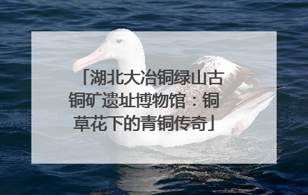 湖北大冶铜绿山古铜矿遗址博物馆：铜草花下的青铜传奇