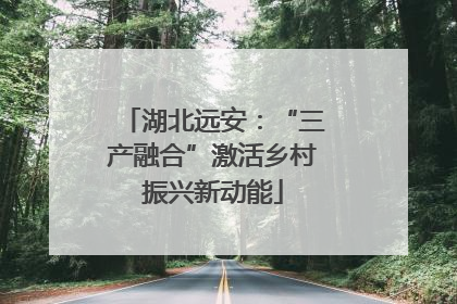 湖北远安：“三产融合”激活乡村振兴新动能