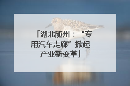 湖北随州：“专用汽车走廊”掀起产业新变革