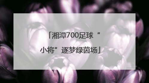 湘潭700足球“小将”逐梦绿茵场