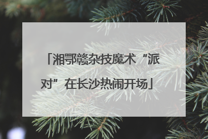 湘鄂赣杂技魔术“派对”在长沙热闹开场