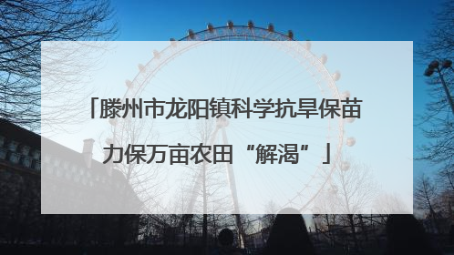 滕州市龙阳镇科学抗旱保苗 力保万亩农田“解渴”