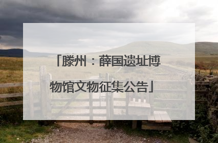 滕州：薛国遗址博物馆文物征集公告