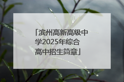 滨州高新高级中学2025年综合高中招生简章