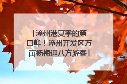 漳州港夏季的第一口鲜！漳州开发区万亩杨梅迎八方游客