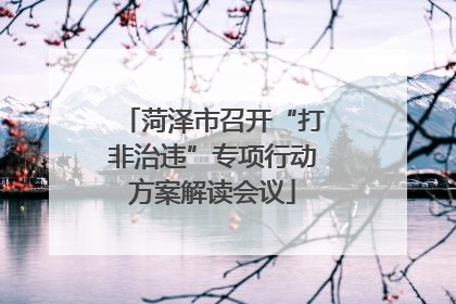 菏泽市召开“打非治违”专项行动方案解读会议