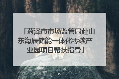 菏泽市市场监管局赴山东海辰储能一体化零碳产业园项目帮扶指导