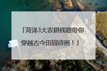 菏泽3大农耕线路带你穿越古今田园诗画！