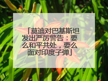 莫迪对巴基斯坦发出严厉警告：要么和平共处，要么面对印度子弹