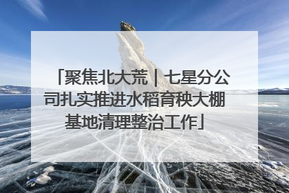 聚焦北大荒｜七星分公司扎实推进水稻育秧大棚基地清理整治工作