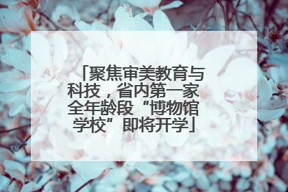 聚焦审美教育与科技，省内第一家全年龄段“博物馆学校”即将开学