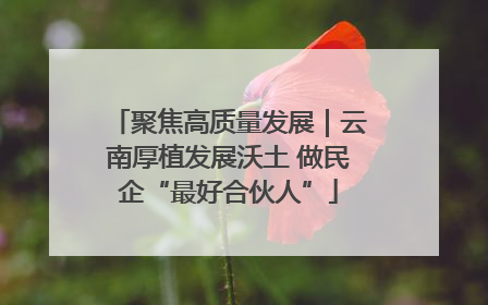 聚焦高质量发展｜云南厚植发展沃土 做民企“最好合伙人”