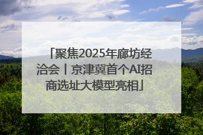 聚焦2025年廊坊经洽会丨京津冀首个AI招商选址大模型亮相