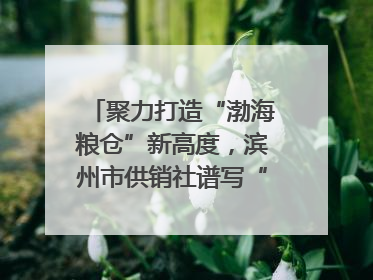 聚力打造“渤海粮仓”新高度，滨州市供销社谱写“三夏”丰收乐章