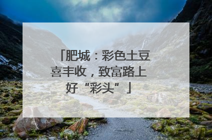 肥城：彩色土豆喜丰收，致富路上好“彩头”