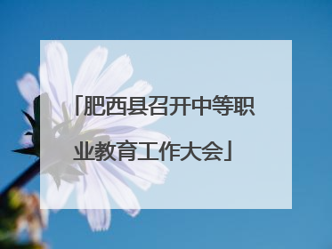 肥西县召开中等职业教育工作大会
