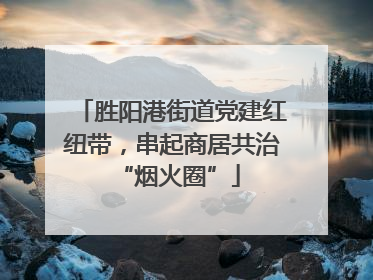 胜阳港街道党建红纽带，串起商居共治 “烟火圈”