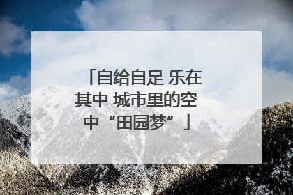 自给自足 乐在其中 城市里的空中“田园梦”