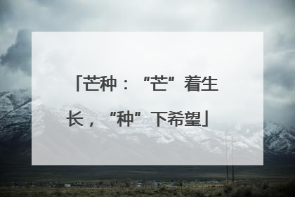 芒种：“芒”着生长，“种”下希望