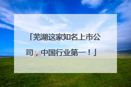 芜湖这家知名上市公司，中国行业第一！