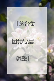 茅台集团领导层调整