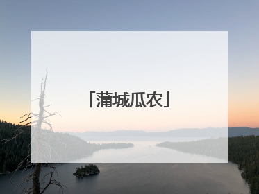 蒲城瓜农