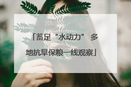 蓄足“水动力” 多地抗旱保粮一线观察