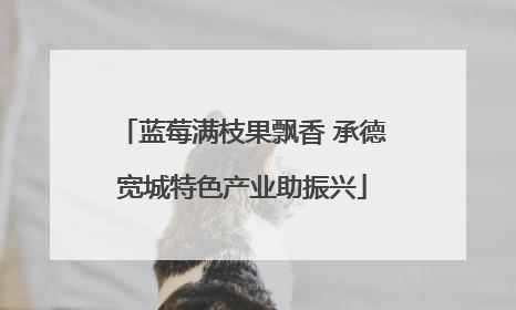 蓝莓满枝果飘香 承德宽城特色产业助振兴