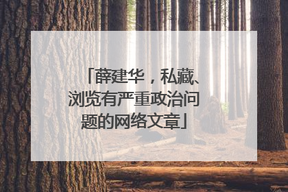 薛建华，私藏、浏览有严重政治问题的网络文章