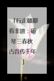 行走赣鄱看非遗：斫琴三春秋 古音传千年