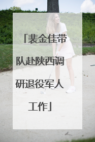 裴金佳带队赴陕西调研退役军人工作