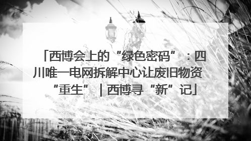 西博会上的“绿色密码”：四川唯一电网拆解中心让废旧物资“重生”｜西博寻“新”记