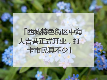 西城特色街区中海大吉巷正式开业，打卡市民真不少