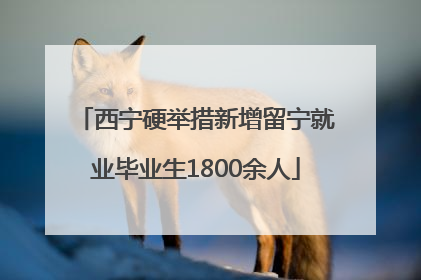 西宁硬举措新增留宁就业毕业生1800余人