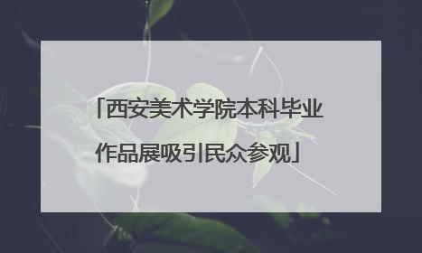 西安美术学院本科毕业作品展吸引民众参观