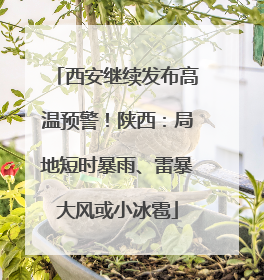 西安继续发布高温预警！陕西：局地短时暴雨、雷暴大风或小冰雹