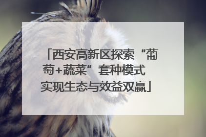 西安高新区探索“葡萄+蔬菜”套种模式 实现生态与效益双赢