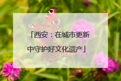 西安：在城市更新中守护好文化遗产